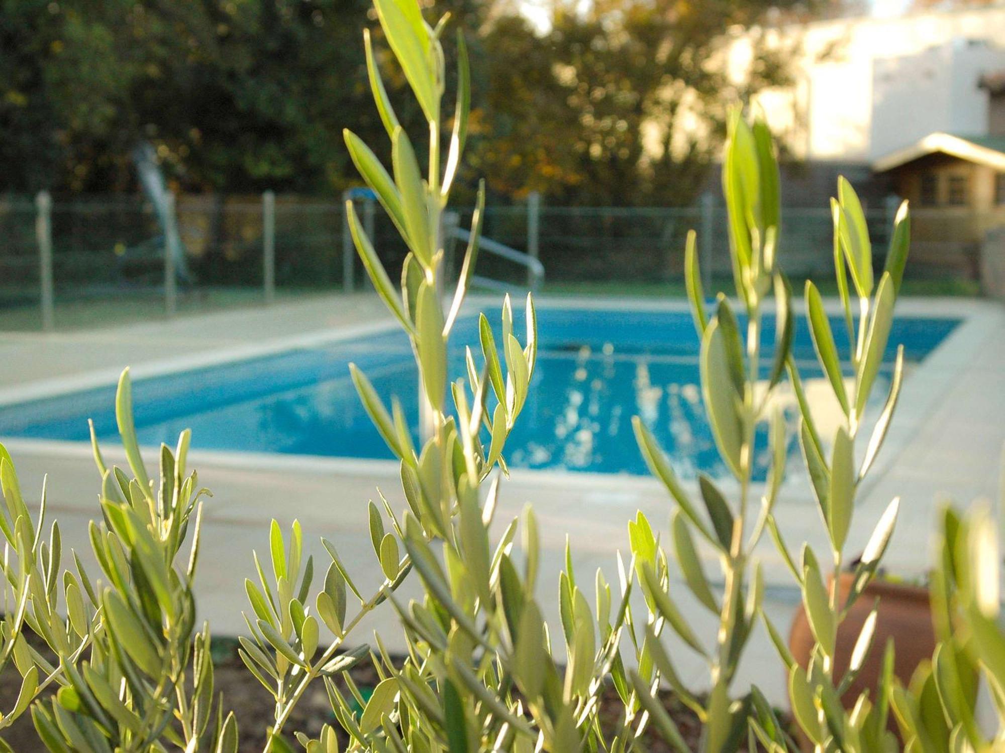 Отель Ibis Salon De Provence Экстерьер фото